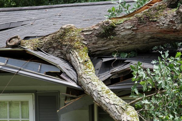 Cost of Storm Remediation in Reading