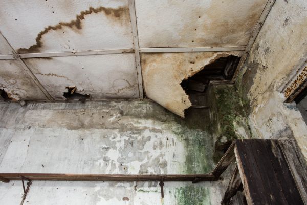 Water Damage Service in Reading