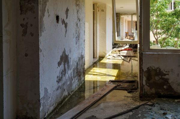 Water Removal Service in Reading