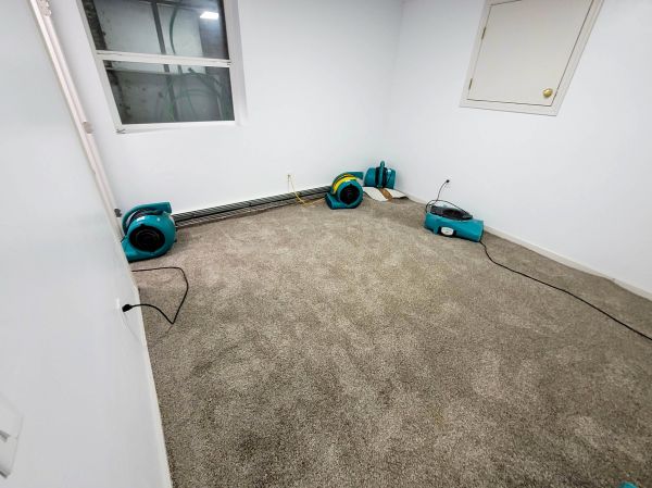 Flood Restoration Service in Reading
